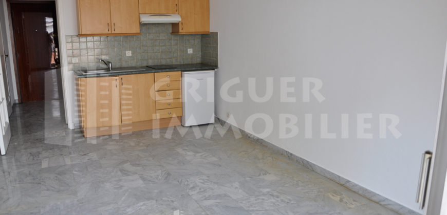 Location studio Nice proche Borriglione