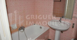 Location studio Nice proche Borriglione