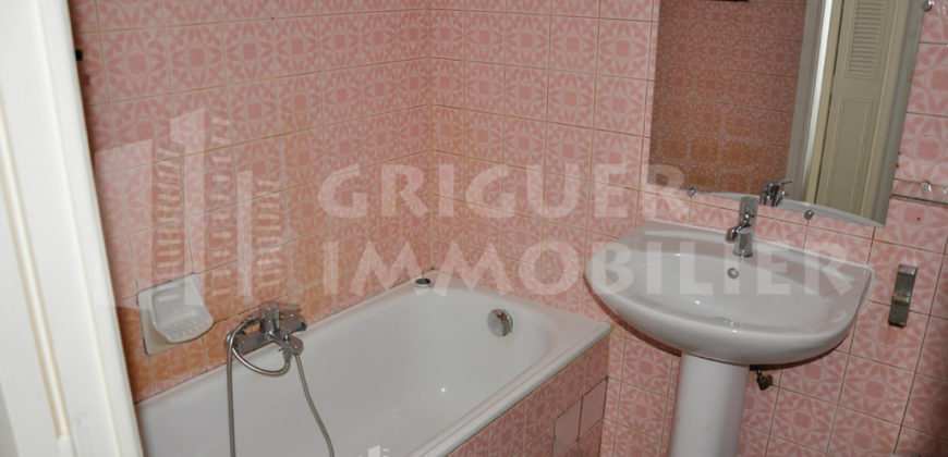Location studio Nice proche Borriglione