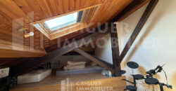 Vente 2 pièces Cessole / Mantega vue panoramique
