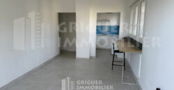 Location grand studio rénové Fabron / Californie