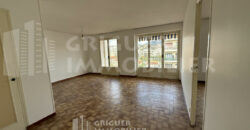 Location 3 pièces avec terrasse Nice Gorbella