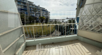 Location grand studio Nice Port Franck Pilatte