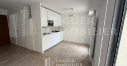 Vente grand studio avec terrasse Nice Bd Gambetta