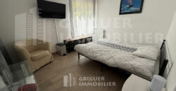 Vente 3 pièces Nice Pessicart / Cyrnos