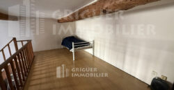 Vente deux studios avec mezzanine Port Nice